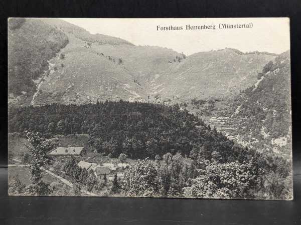 AK Ansichtskarte Postkarte Feldpost Forsthaus Herrenberg Münstertal