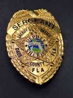 Sergeant Deputy FLA Badge Polizei Police US Abzeichen Marke Insigne