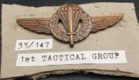 1 Gruppo Tattico Paracadutisti 1st Tactical Group...