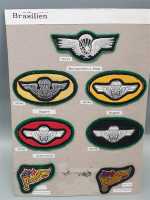 Brasilien Fallschirmspringer Parachute Orden Patch Rigger Pathfinder Brazil RAR