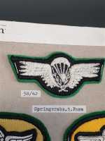 Brasilien Fallschirmspringer Parachute Orden Patch Rigger Pathfinder Brazil RAR