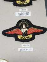 Eswatini Swaziland Parachute Badge Instructor Barettabzeichen Heer Dispatcher