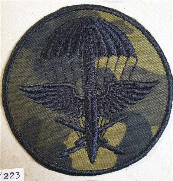 Tschechien Czech Spezieleinheit Patch Fallschirmjäger Schwert Regiment Division