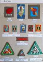 12x Italien Italy Badge Patch Pathfinder Navy Patrol Assaltore Alpinismo RAR