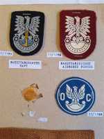 7x Polen Polska Patch Barettabzeichen Coast Defence Navy Airborne Rangstern