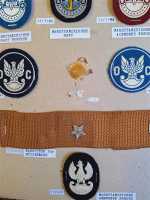 7x Polen Polska Patch Barettabzeichen Coast Defence Navy Airborne Rangstern