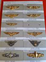 11x Amerika USA Badge Brustabzeichen Schwinge Officer Surface Warfare Combat RAR