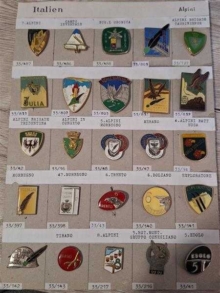 25x Italien Italy Badge Alpini Gebirgstruppe Edolo Merano Bolzano Trento Tirano