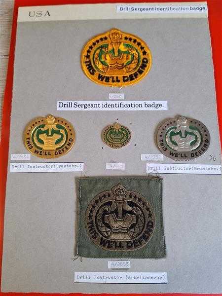 5x Amerika USA US Patch Drill Sergeant Indentification Badge This we´ll Defend