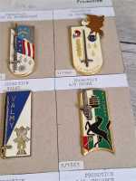 9x Frankreich France Regimentsabzeichen Charron Autolava Valmy Henry Popis RAR