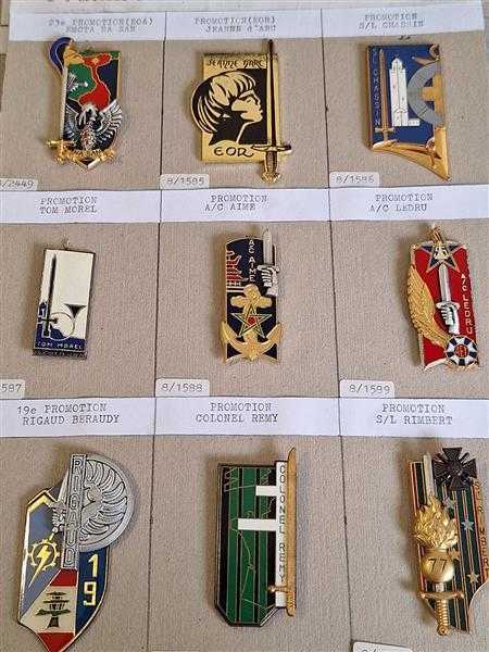 9x Frankreich France Regimentsabzeichen Colonel Remy Rimbert Ledru Chassin Aime