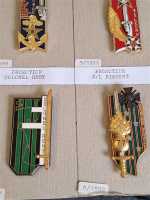 9x Frankreich France Regimentsabzeichen Colonel Remy Rimbert Ledru Chassin Aime