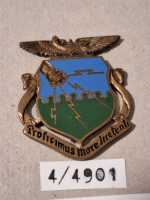 Amerika USA US Patch Air Force Luftwaffe Pin Badge Air...