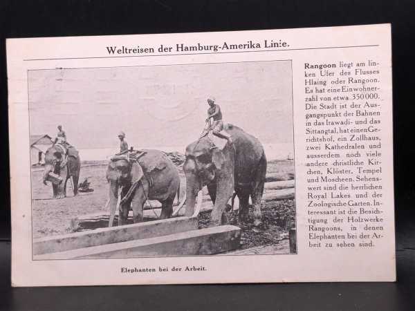 Ansichtskarte Weltreisen der Hamburg-Amerika Linie Elephanten bei der Arbeit