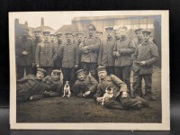 AK Ansichtskarte Postkarte Feldpost Regiment 2 Hunde...